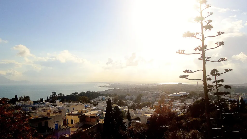 Vue de Sidi Bou Saïd sur le golfe de Tunis